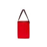 Cooler plegable de polyester con bolsillo frontal y doble cierre, visto de frente