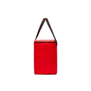 Cooler plegable de polyester con bolsillo frontal y doble cierre, visto de frente